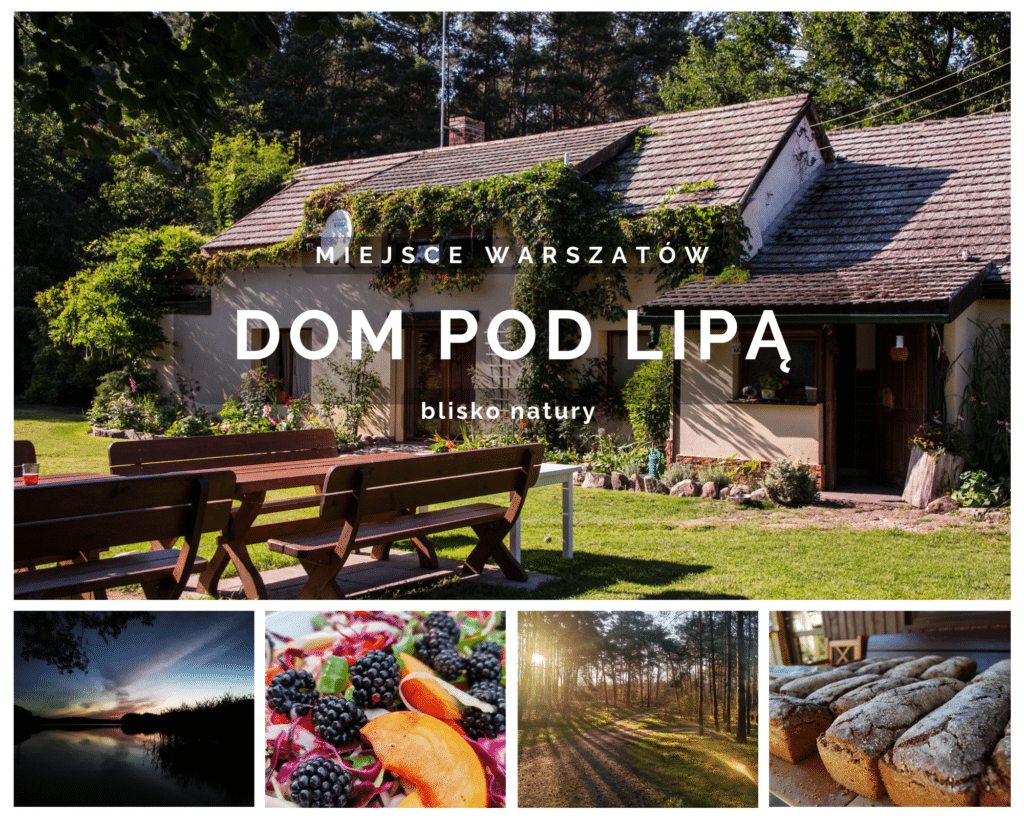 Dom pod lipa 7 1