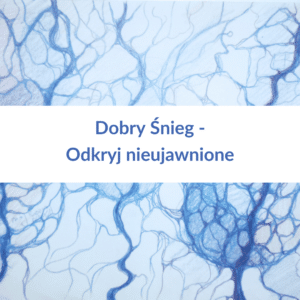 NeuroGrafika w praktyce - Dobry Śnieg możliwości - odkrywanie tego co ukryty - nagranie webinaru