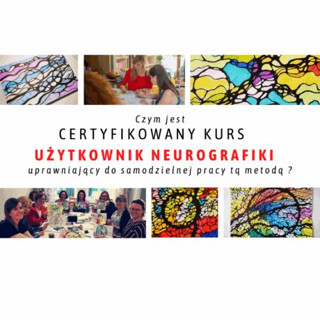 Strona główna 11 Certyfikowany kurs UZYTKOwNIK NeuroGraFiki 3